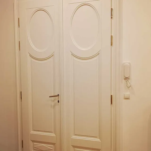 Altbau Tür Sanierung Wien